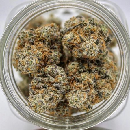 buy weed online. humboldt county farms. blueberry