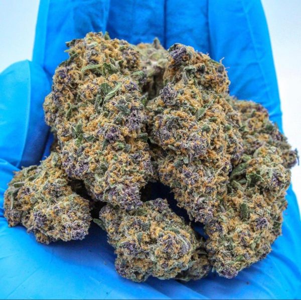 weed for sale. purple haze. buy weed online. humboldt county farms.