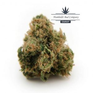 buy hcucky mucky weed online